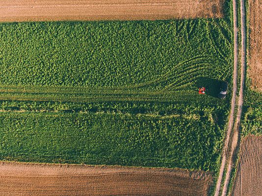 Dürrehilfe wird zielgerichtet für existenzbedrohte Bauern eingesetzt Dürrehilfe wird zielgerichtet für existenzbedrohte Bauern eingesetzt