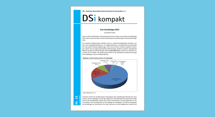 DSi kompakt Nr. 13 - Zum Sozialbudget 2013