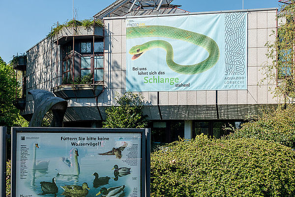 Aquazoo-Ausbau: Zu teuer für Düsseldorf! Aquazoo-Ausbau: Zu teuer für Düsseldorf!