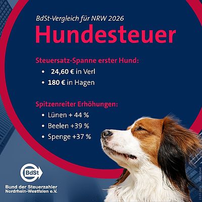 Es wird teurer: Hundesteuer-Vergleich 2026