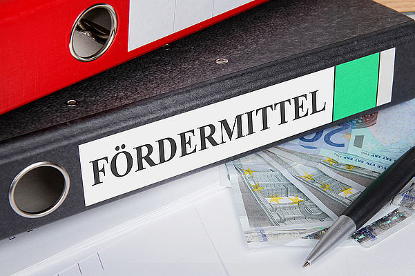 Förderprogramme reduzieren - Steuerzahler entlasten Förderprogramme reduzieren - Steuerzahler entlasten