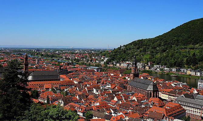 Appell der Verbände-Allianz!