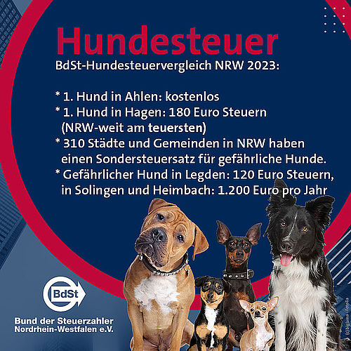 BdSt-Hundesteuervergleich 2023 | Bund Der Steuerzahler E.V.